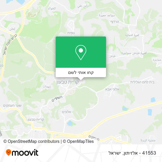 מפת 41553 - אלזיתון