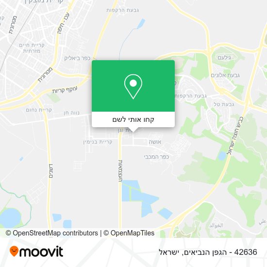 מפת 42636 - הגפן הנביאים