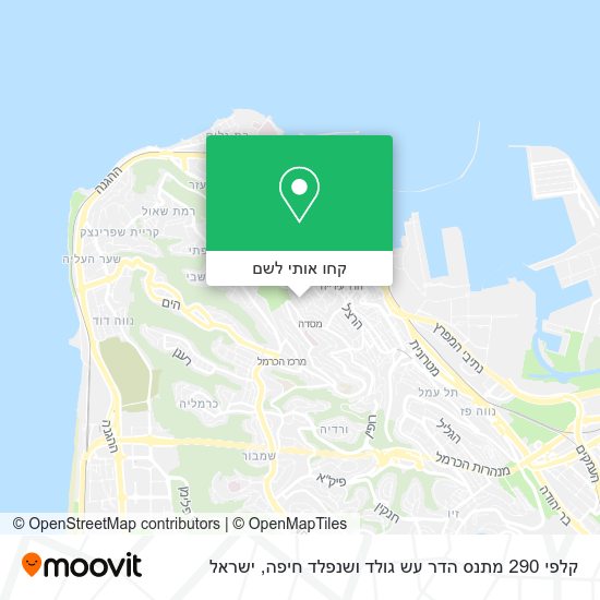 מפת קלפי 290 מתנס הדר עש גולד ושנפלד חיפה