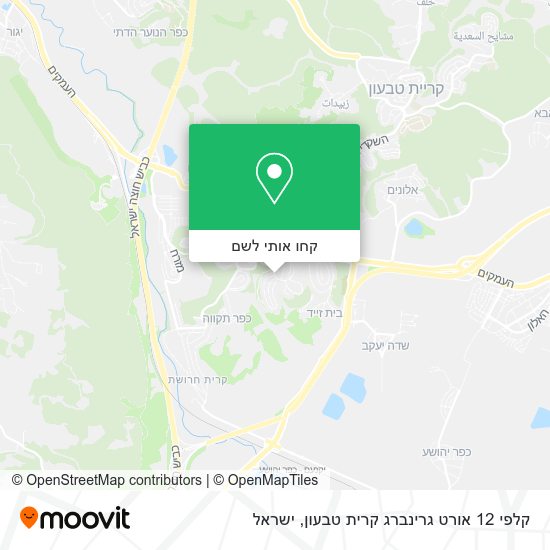 מפת קלפי 12 אורט גרינברג קרית טבעון