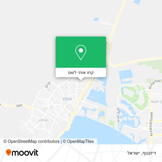 מפת דיזנגוף