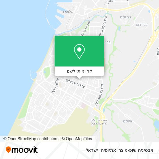 מפת אבסיניה שופ-מוצרי אתיופיה