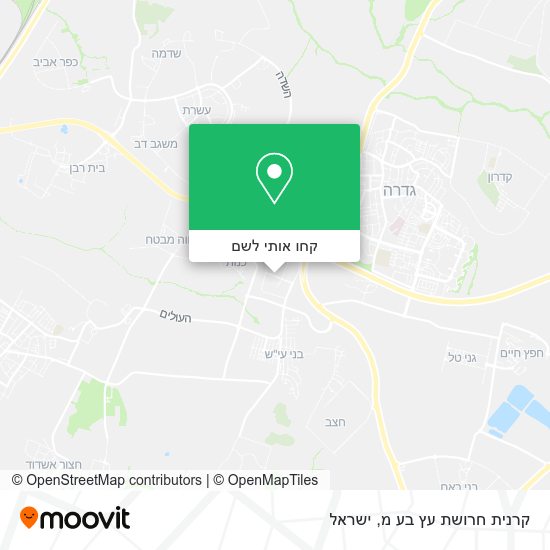 מפת קרנית חרושת עץ בע מ