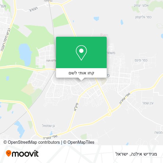 מפת מגידיש אילנה