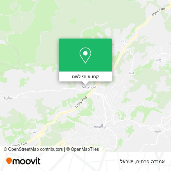 מפת אמנדה פרחים