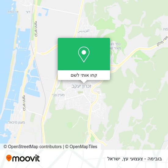 מפת בובימה - צעצועי עץ