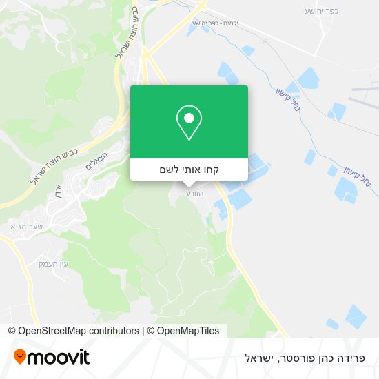 מפת פרידה כהן פורסטר