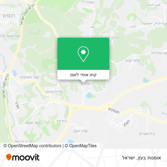 מפת אומנות בעץ