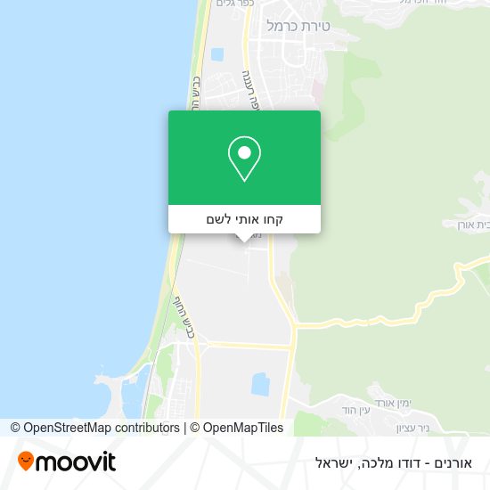 מפת אורנים - דודו מלכה