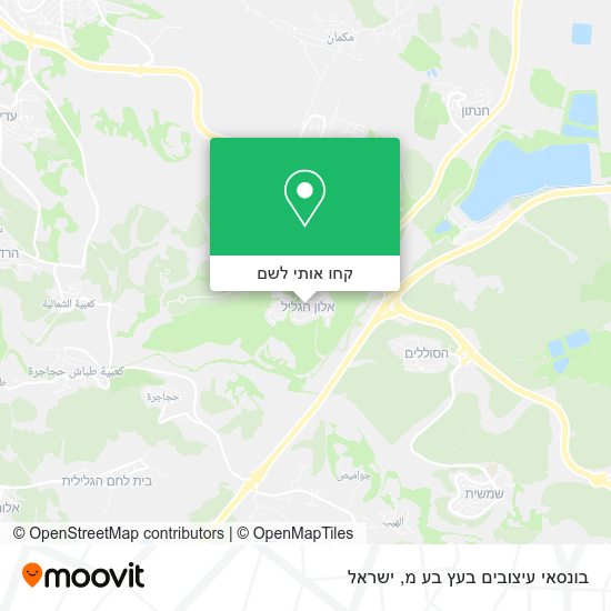 מפת בונסאי עיצובים בעץ בע מ