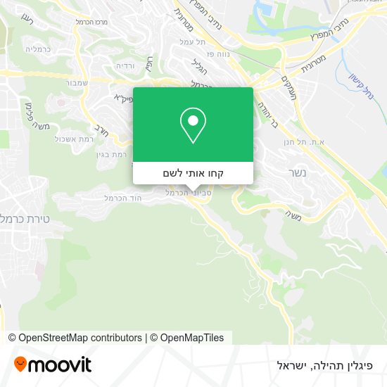 מפת פיגלין תהילה