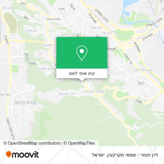 מפת לוין תומר - שמאי מקרקעין