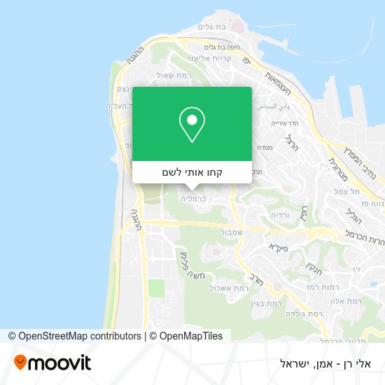 מפת אלי רן - אמן