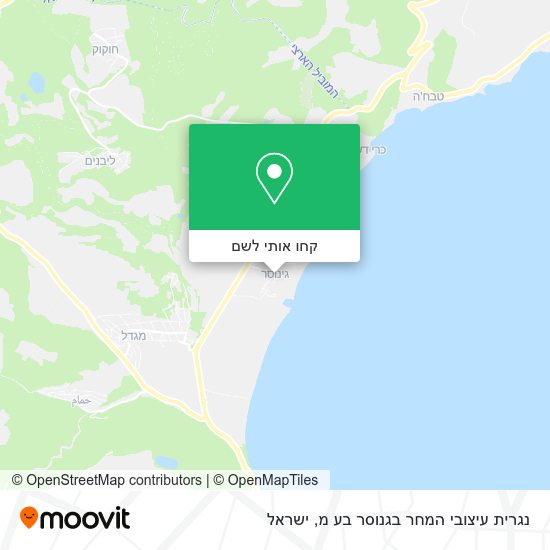 מפת נגרית עיצובי המחר בגנוסר בע מ