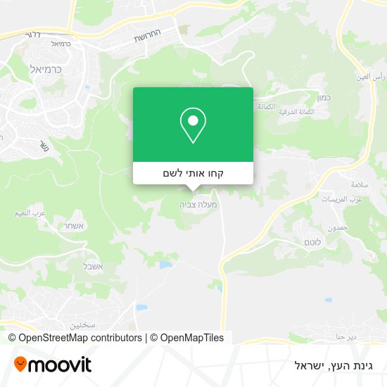 מפת גינת העץ