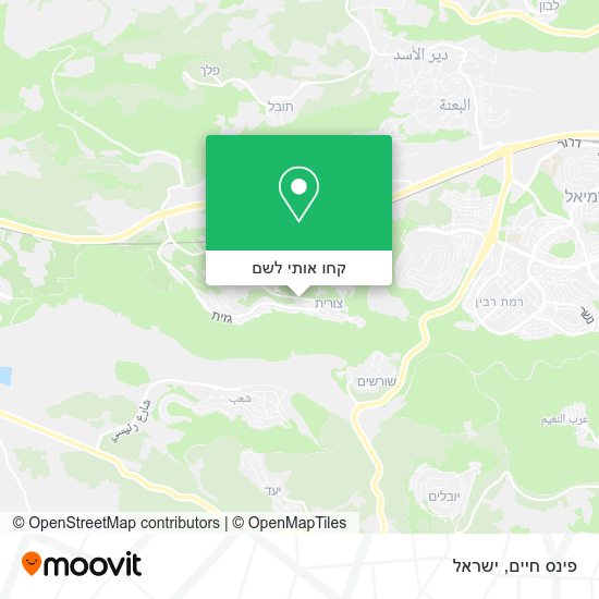 מפת פינס חיים