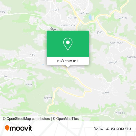 מפת גידי כורם בע מ