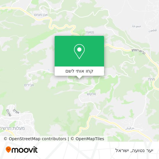 מפת יער נטועה