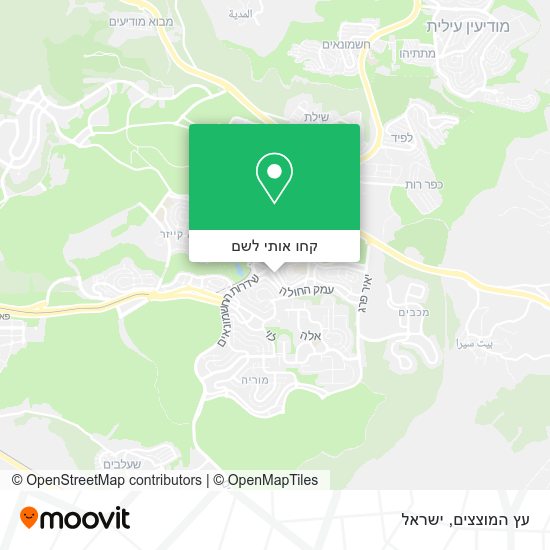 מפת עץ המוצצים