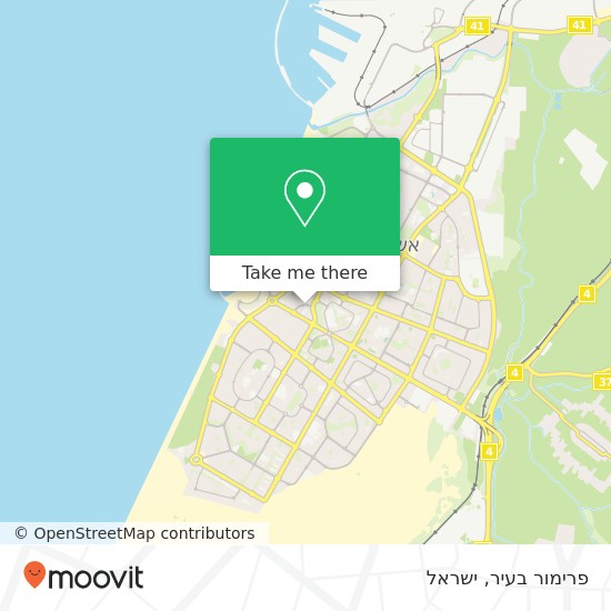 מפת פרימור בעיר, הגדוד העברי 6 אשדוד, אשקלון, 77000