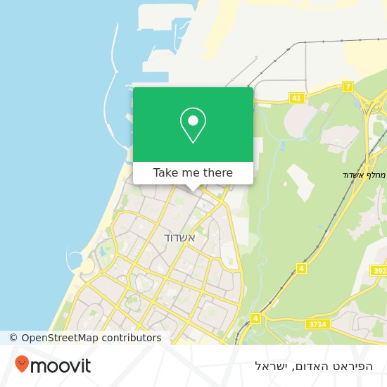 מפת הפיראט האדום, אשדוד, אשקלון, 77000