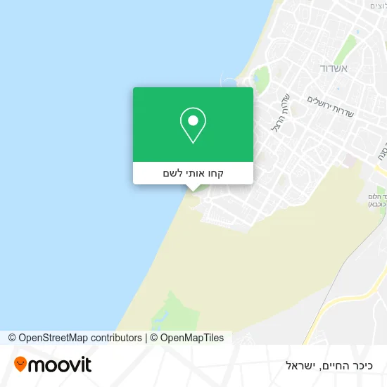 מפת כיכר החיים