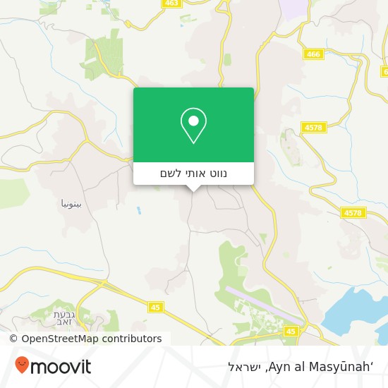 מפת ‘Ayn al Masyūnah