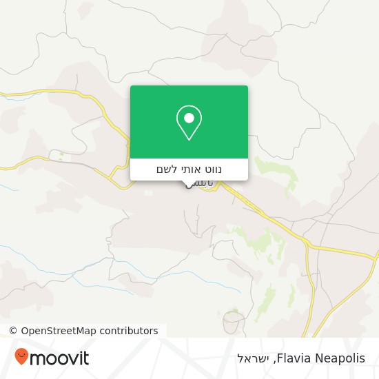 מפת Flavia Neapolis