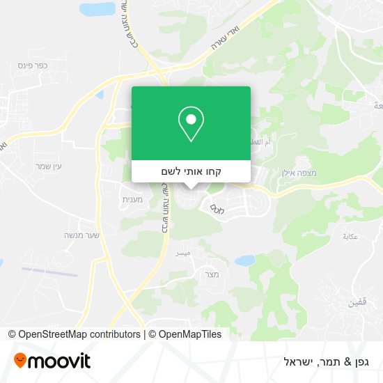 מפת גפן & תמר