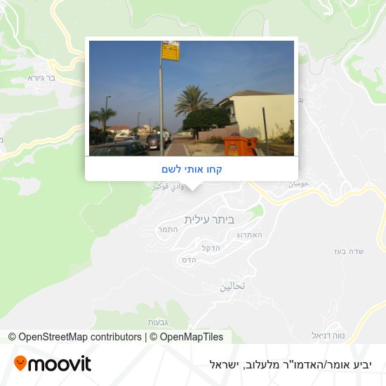 מפת יביע אומר/האדמו''ר מלעלוב
