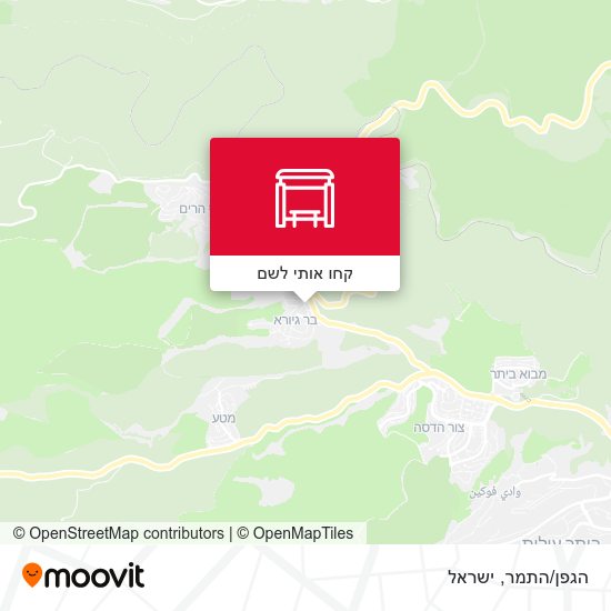 מפת הגפן/התמר