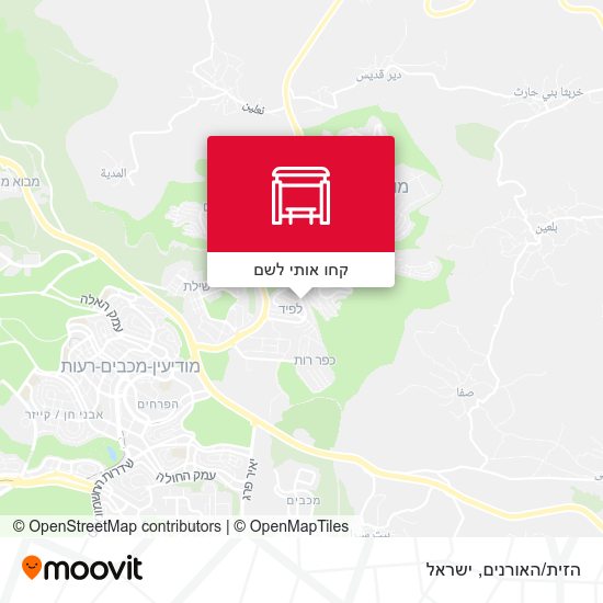 מפת הזית/האורנים
