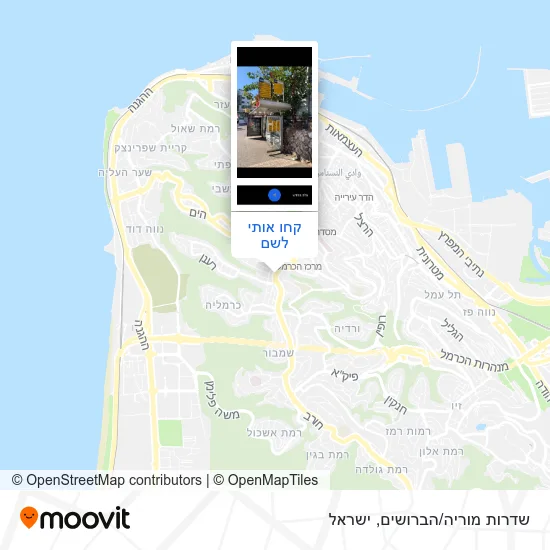 מפת שדרות מוריה/הברושים