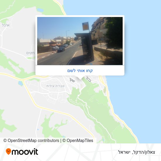 מפת צאלון/הדקל