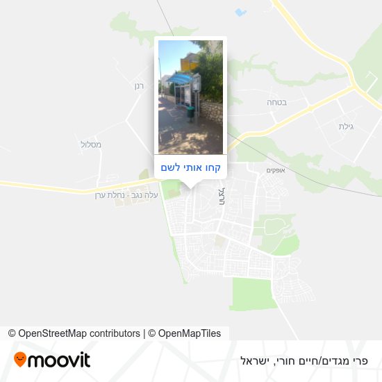 מפת פרי מגדים/חיים חורי