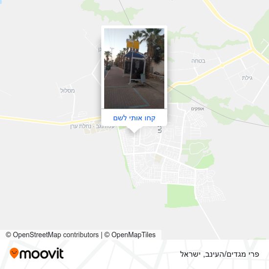 מפת פרי מגדים/העינב