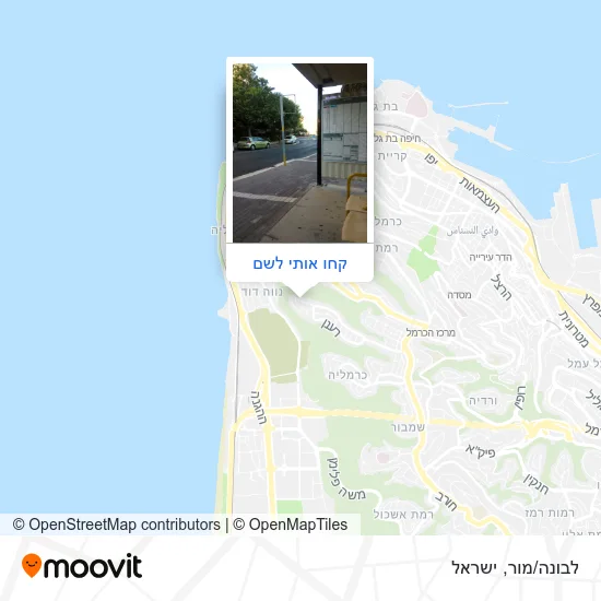 מפת לבונה/מור