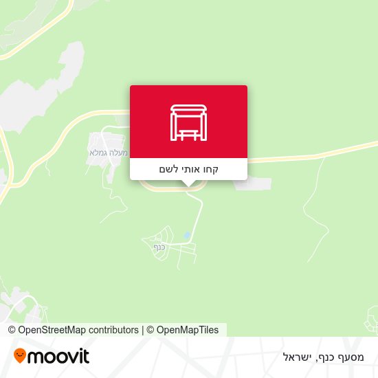מפת מסעף כנף