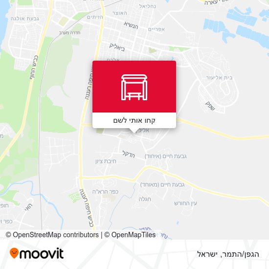 מפת הגפן/התמר