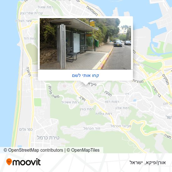 מפת אורן/פיקא