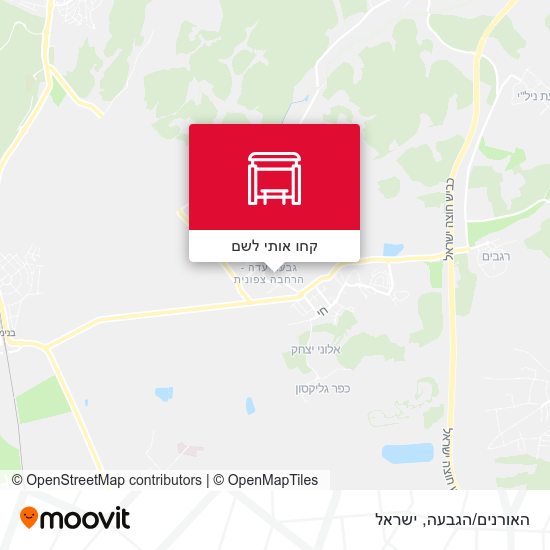 מפת האורנים/הגבעה