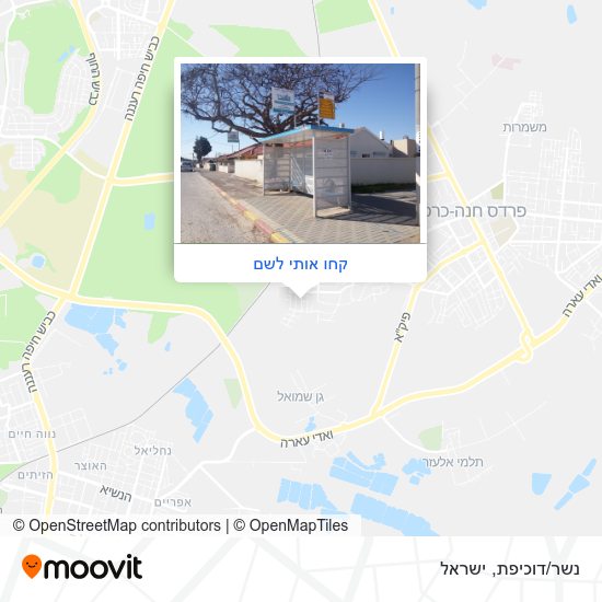 מפת נשר/דוכיפת