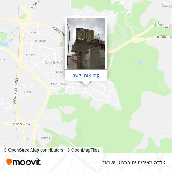 מפת גולדה מאיר/חיים הרצוג