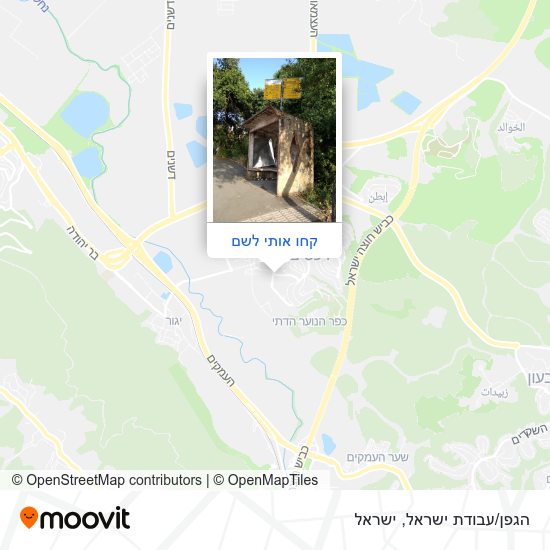מפת הגפן/עבודת ישראל