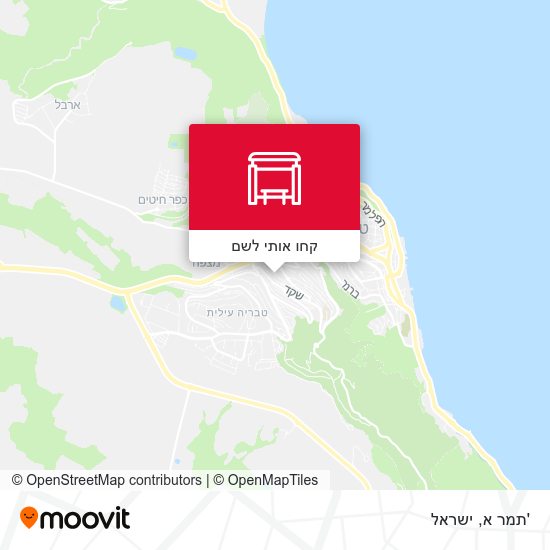 מפת 'תמר א