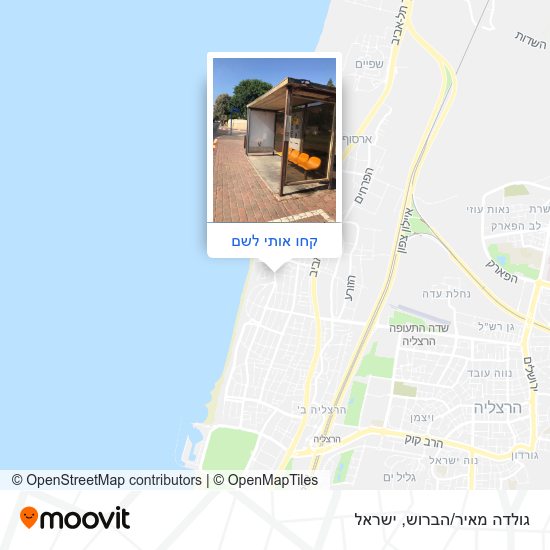 מפת גולדה מאיר/הברוש