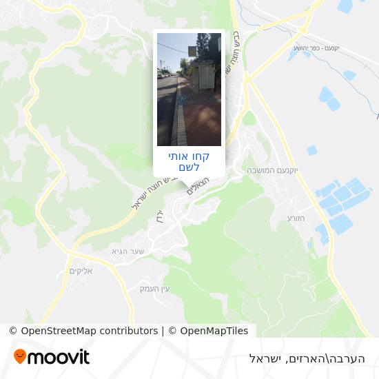 מפת הערבה\הארזים