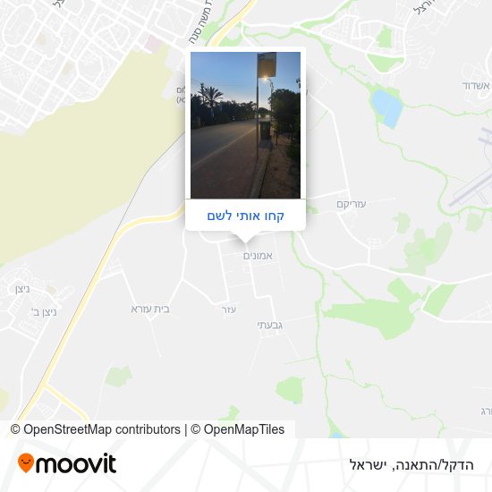 מפת הדקל/התאנה