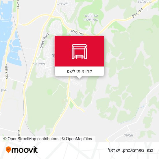 מפת כנפי נשרים/ברק