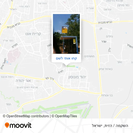 מפת השקמה / הזית